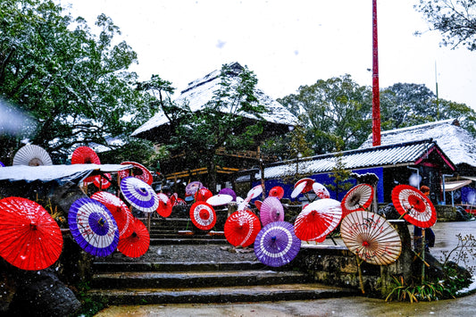 🏡 【移住検討者必読】熊本県人吉市ってどんな場所？実際に住んだ筆者が魅力と残念な点を徹底解説