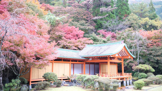 熊本県八代市の五家荘にある平家の里