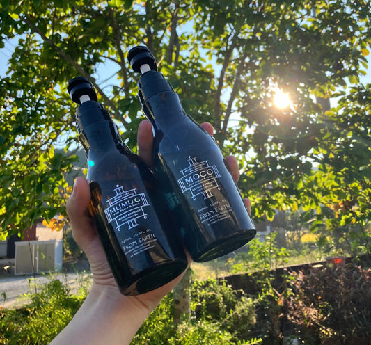 髪を変えたのは、水ではなく"フムスエキス"でした