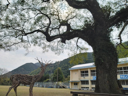 田代小学校のセンダンの木と流木でできた鹿